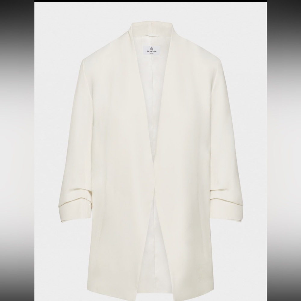 ARITZIA Babaton- Power Blazer
